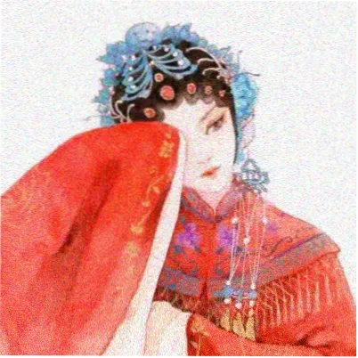 读者青苔的头像